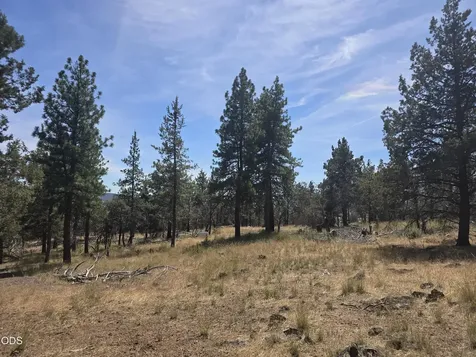 11436 Wildhorse Drive Bonanza OR 97623
