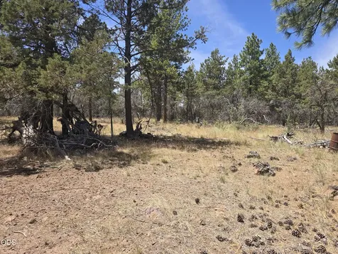 11436 Wildhorse Drive Bonanza OR 97623