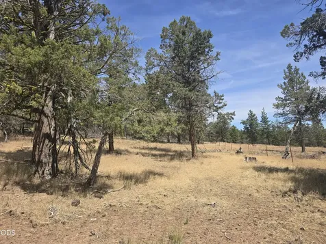 11436 Wildhorse Drive Bonanza OR 97623