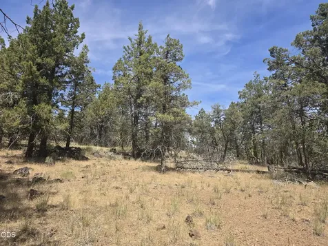 11436 Wildhorse Drive Bonanza OR 97623