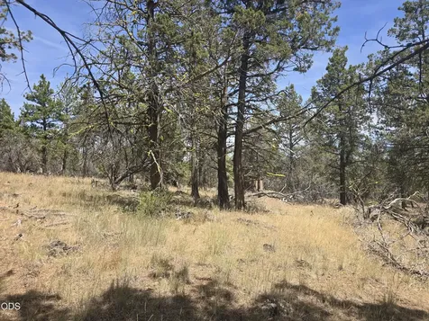 11436 Wildhorse Drive Bonanza OR 97623