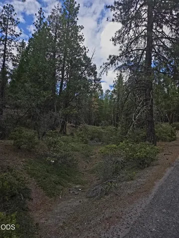 31276 Seal Lane Bonanza OR 97623