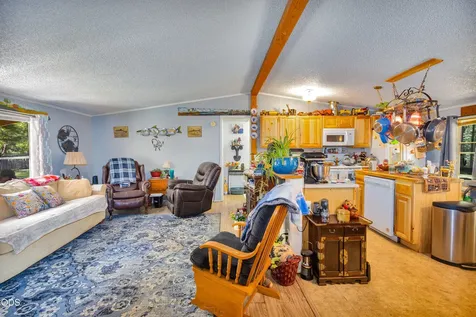 127 Wildpark Lane Selma OR 97538