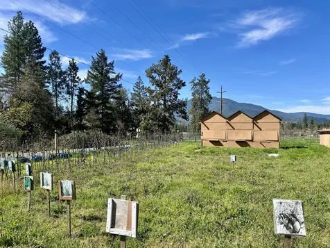 13990 N Applegate Road Applegate OR 97530