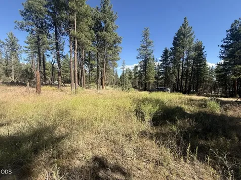 22337 Wampum Lane Sprague River OR 97639