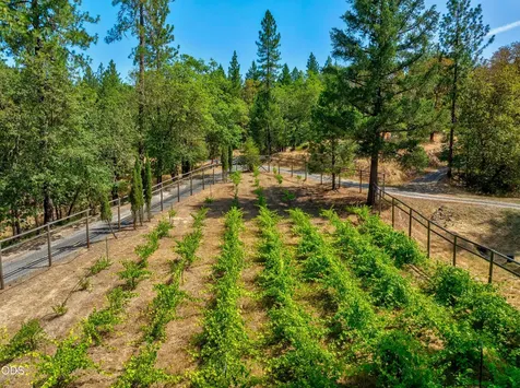 475 Penny Lane Grants Pass OR 97527