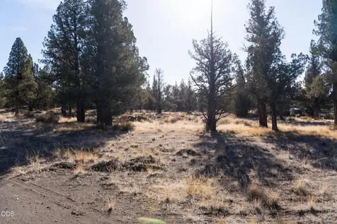 12233 NW Steelhead Falls Drive Terrebonne OR 97760