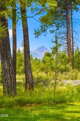 71190 Fiddleneck Lane Black Butte Ranch OR 97759