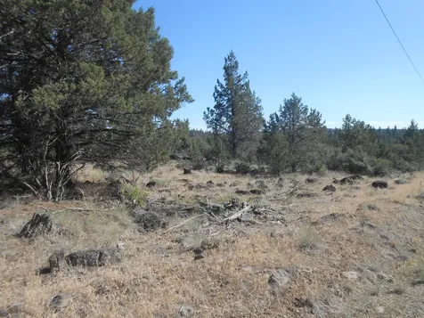 0 Ground Squirrel Drive Bonanza OR 97623