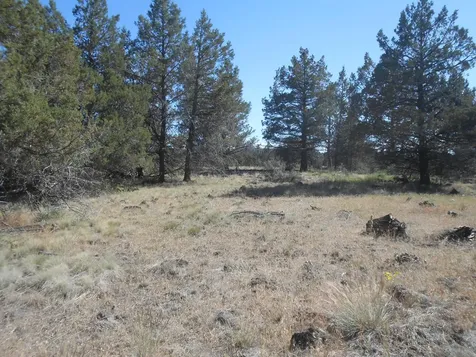 0 Ground Squirrel Drive Bonanza OR 97623