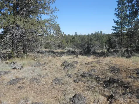 0 Ground Squirrel Drive Bonanza OR 97623