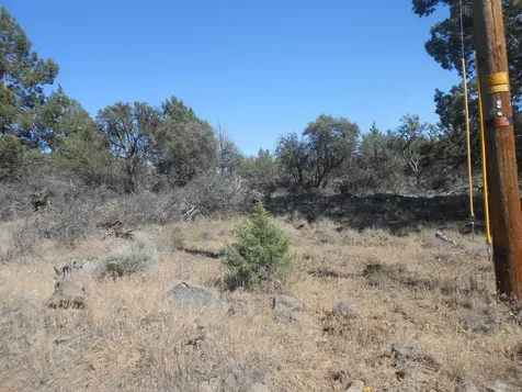 0 Ground Squirrel Drive Bonanza OR 97623