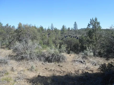 0 Ground Squirrel Drive Bonanza OR 97623