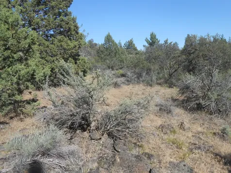 0 Ground Squirrel Drive Bonanza OR 97623