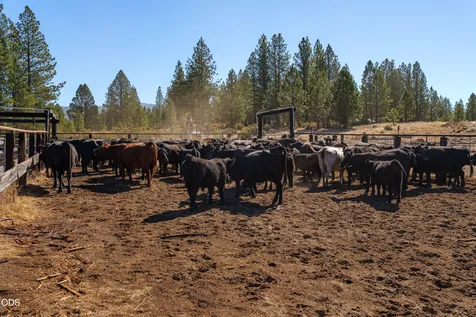 300 Road 49 Silverlake Highway Chiloquin OR 97624