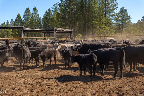 300 Road 49 Silverlake Highway Chiloquin OR 97624