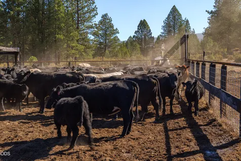 300 Road 49 Silverlake Highway Chiloquin OR 97624