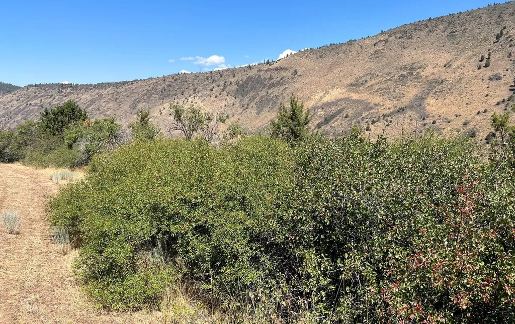 Lot 40 Peregrine Heights Klamath Falls OR 97601