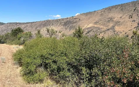 Lot 40 Peregrine Heights Klamath Falls OR 97601