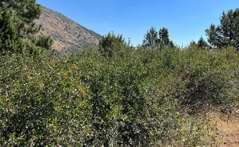 Lot 40 Peregrine Heights Klamath Falls OR 97601