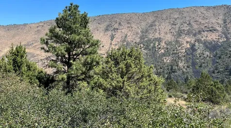 Lot 40 Peregrine Heights Klamath Falls OR 97601