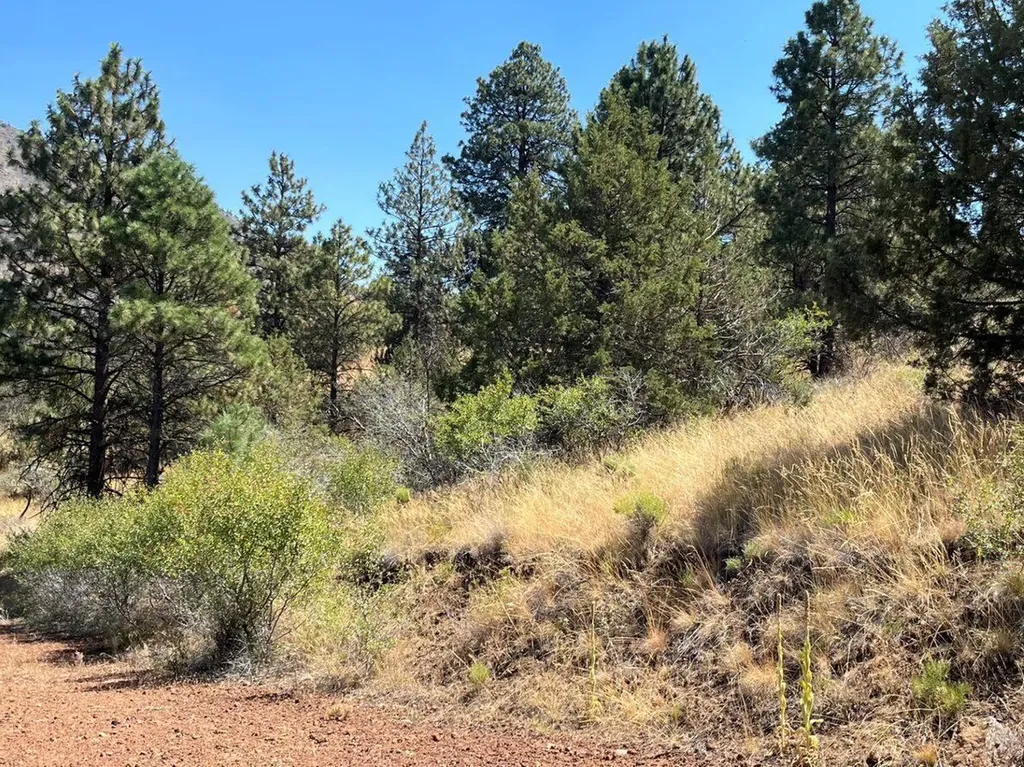 Lot 51 Peregrine Heights Klamath Falls OR 97601