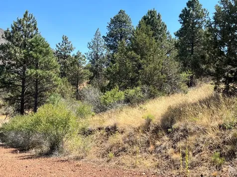 Lot 51 Peregrine Heights Klamath Falls OR 97601