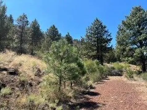 Lot 51 Peregrine Heights Klamath Falls OR 97601