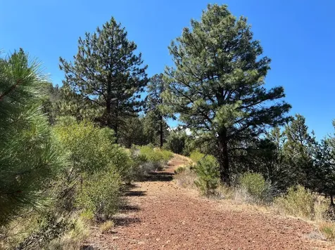 Lot 51 Peregrine Heights Klamath Falls OR 97601