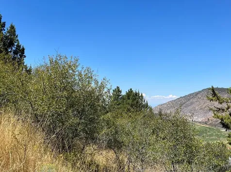 Lot 51 Peregrine Heights Klamath Falls OR 97601