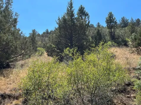 Lot 51 Peregrine Heights Klamath Falls OR 97601