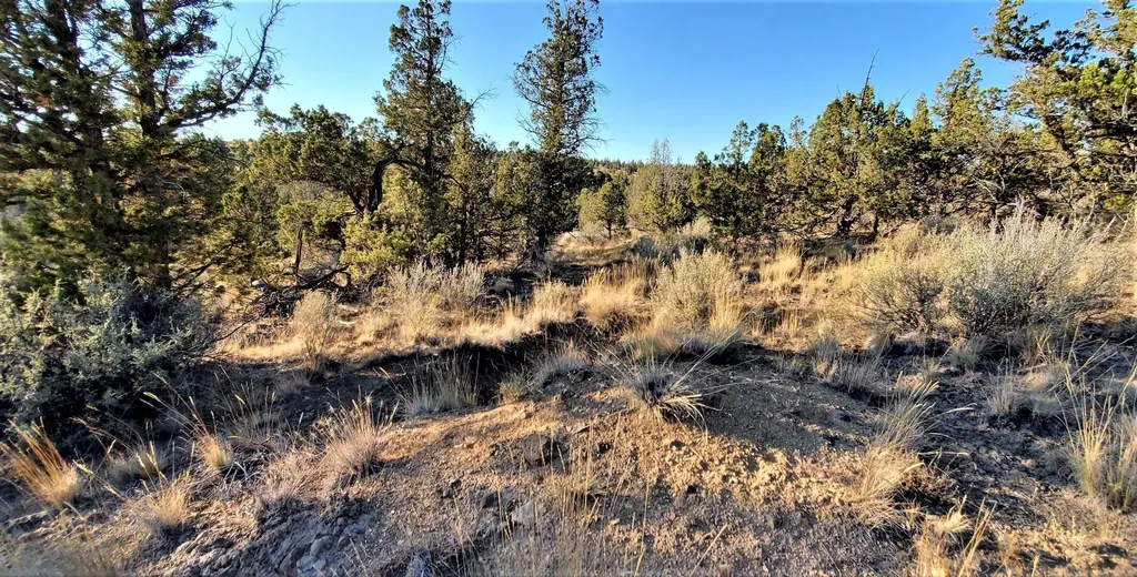 2330 SE Texas Circle Prineville OR 97754