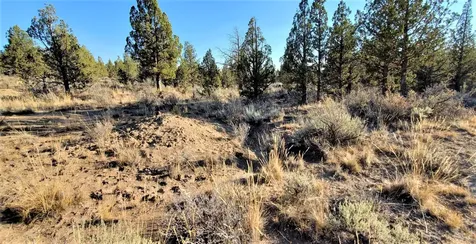 2330 SE Texas Circle Prineville OR 97754