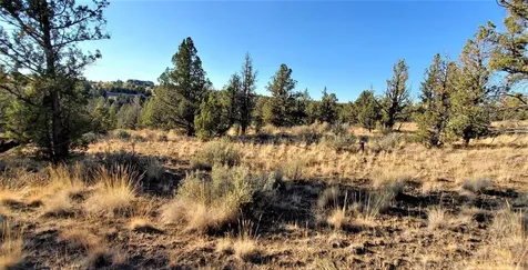 2330 SE Texas Circle Prineville OR 97754