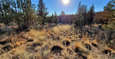 2330 SE Texas Circle Prineville OR 97754