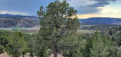 18990 SE Doubtful Dirt Road Prineville OR 97754