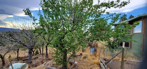 18990 SE Doubtful Dirt Road Prineville OR 97754