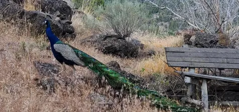 18990 SE Doubtful Dirt Road Prineville OR 97754