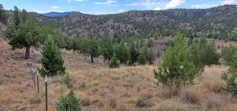 18990 SE Doubtful Dirt Road Prineville OR 97754
