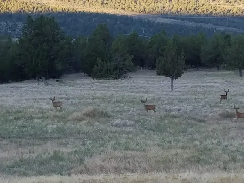 13881 NW Grizzly Mountain Road Prineville OR 97754