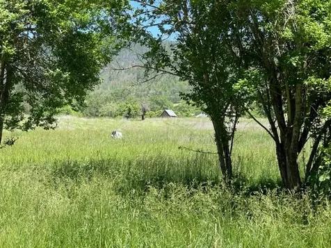 530 Panther Gulch Road Williams OR 97544