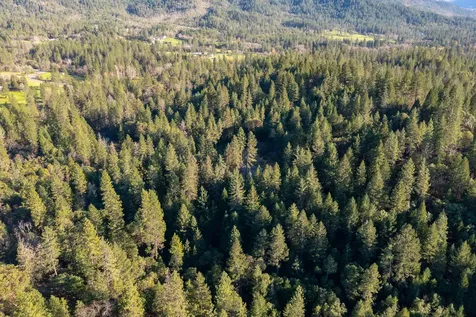 4186 E Evans Creek Road Rogue River OR 97537