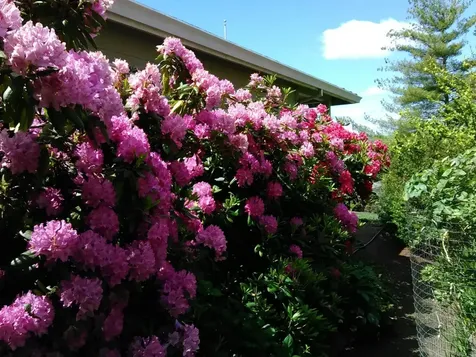 1423 NE Heritage Drive Grants Pass OR 97526