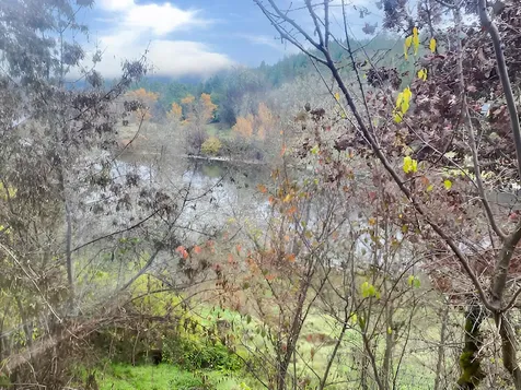 100 Pickett Creek Road Grants Pass OR 97527