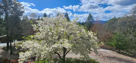 376 Hixson Drive Grants Pass OR 97526