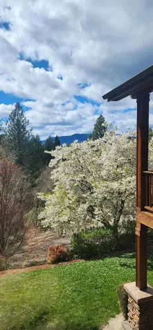 376 Hixson Drive Grants Pass OR 97526