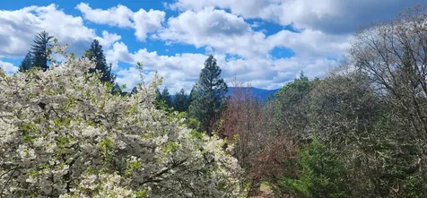 376 Hixson Drive Grants Pass OR 97526