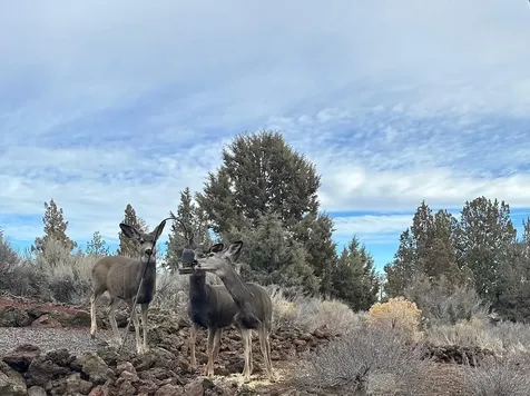 60384 Arnold Market Road Bend OR 97702