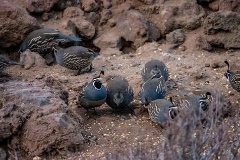 60384 Arnold Market Road Bend OR 97702