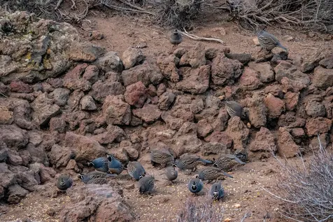 60384 Arnold Market Road Bend OR 97702